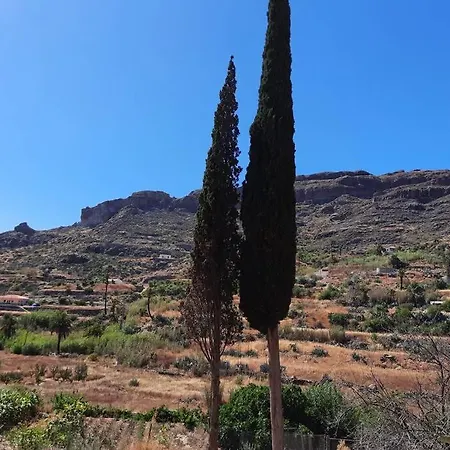 Cipreses. Cercados De Arana Semesterbostad San Bartolomé