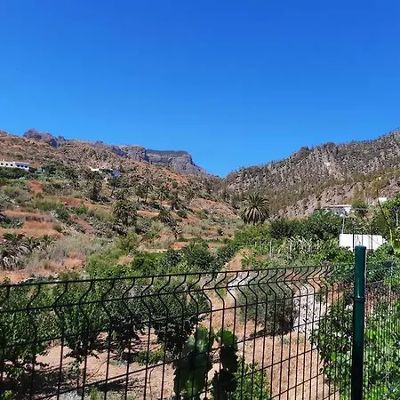 Cipreses. Cercados De Arana San Bartolomé